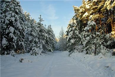 《黎明行者之血》有恋爱元素 魔法不会华丽花哨