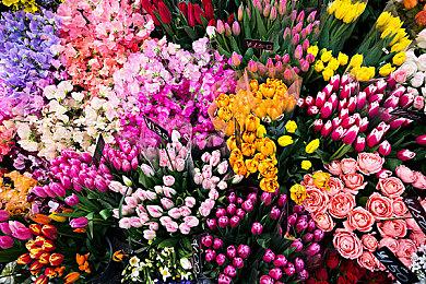 《群星》Steam本周末免费试玩 享80%折扣